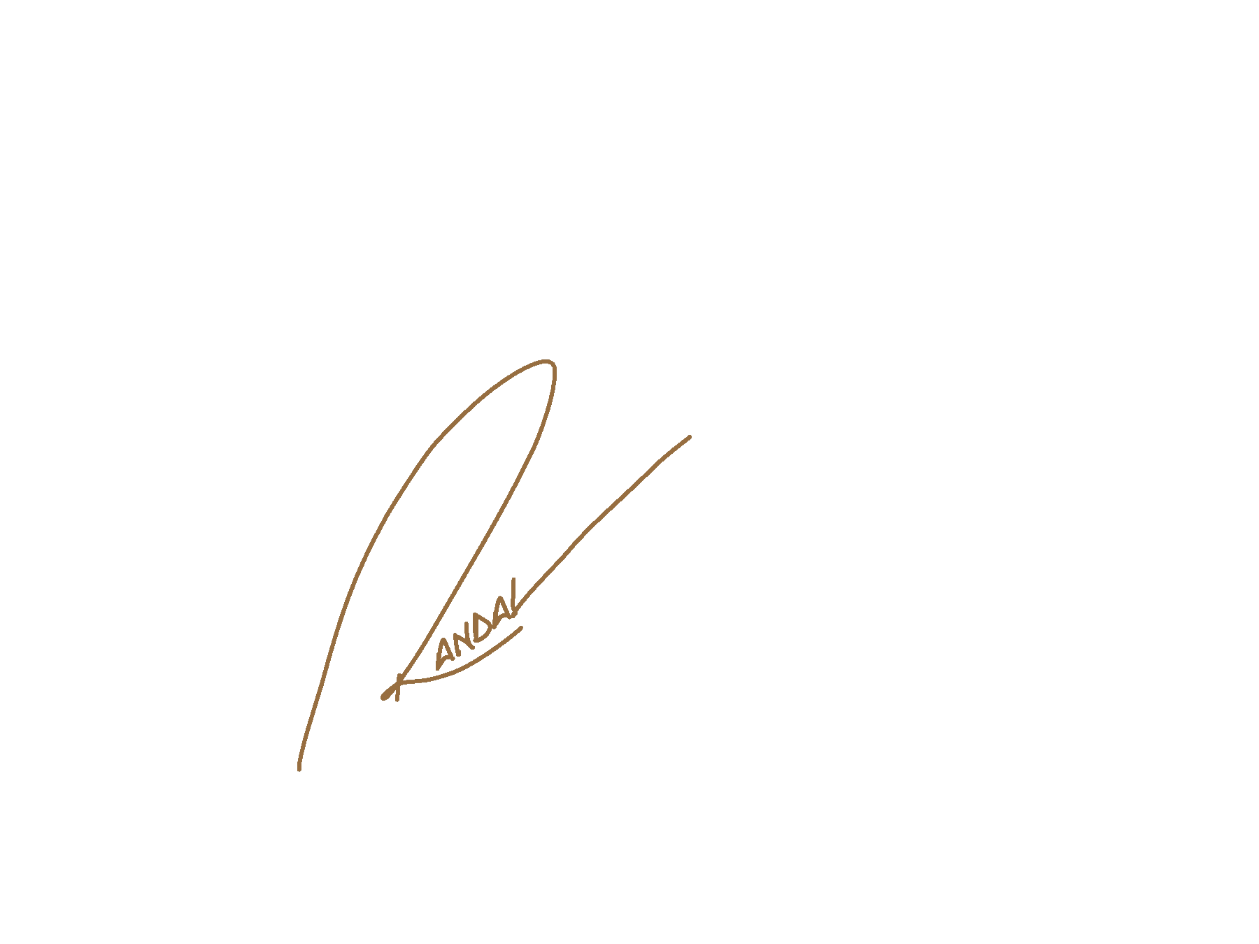 Randy's signature